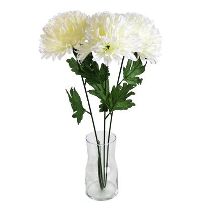 Chryzantéma bílá Ø17cm/65 cm - 3 ks